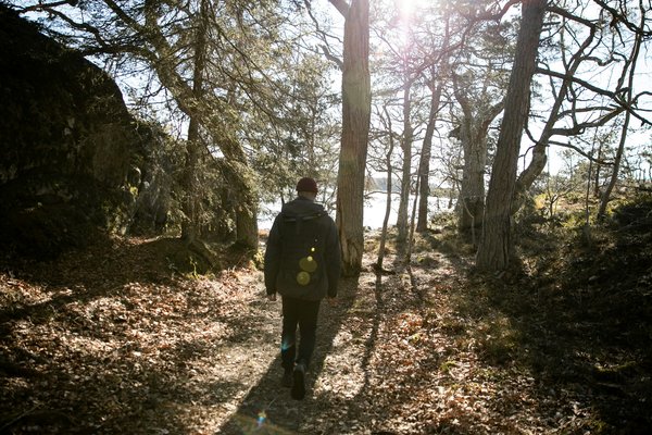 Où découvrir les plus beaux sentiers de randonnée dans le parc national de Jasper, Canada?